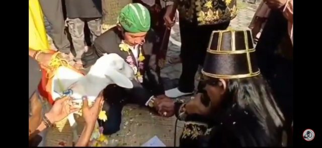 Tangkapan layar - Video viral menikah dengan domba / ist