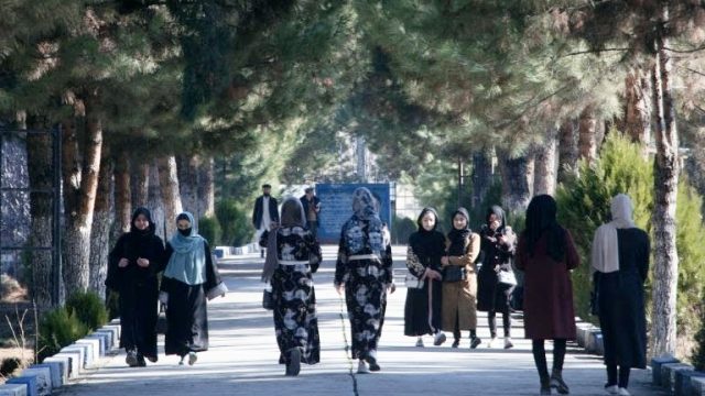 Taliban Larang Perempuan Akses Universitas
