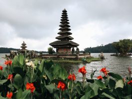 10 fakta menarik tentang Bali